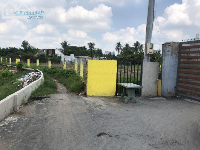 4220595 ảnh đại diện 1