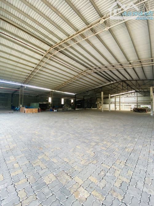 4220234 ảnh đại diện 1