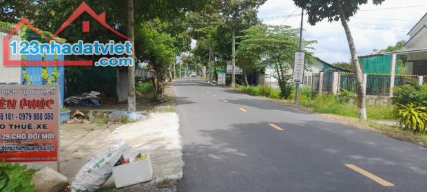 4219633 ảnh đại diện 2