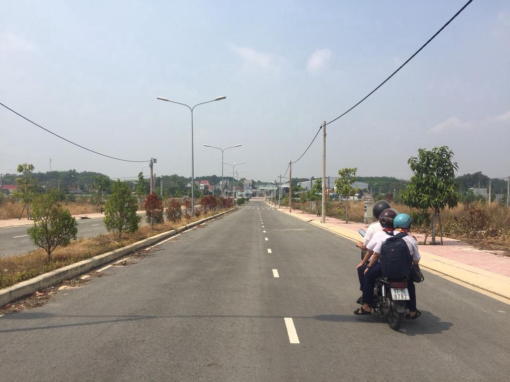 4221542 ảnh đại diện 1