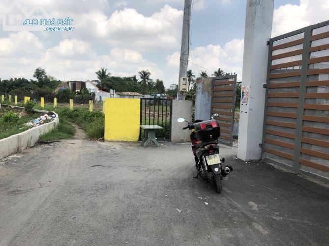 4220595 ảnh đại diện 2