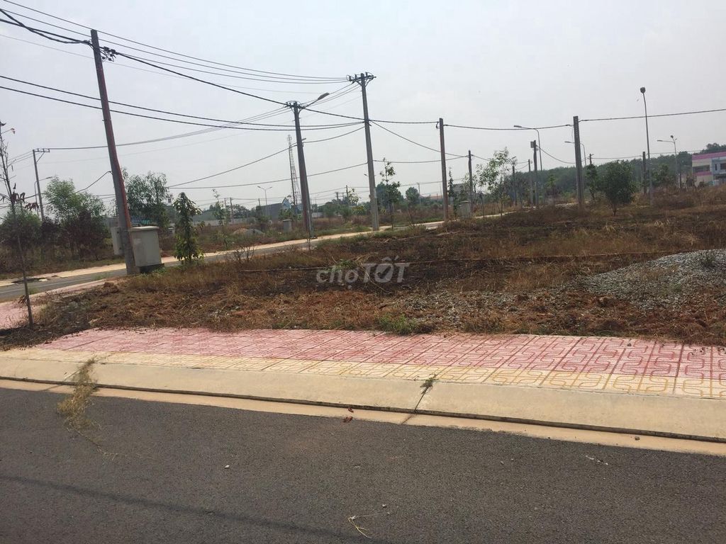 4221542 ảnh đại diện 1