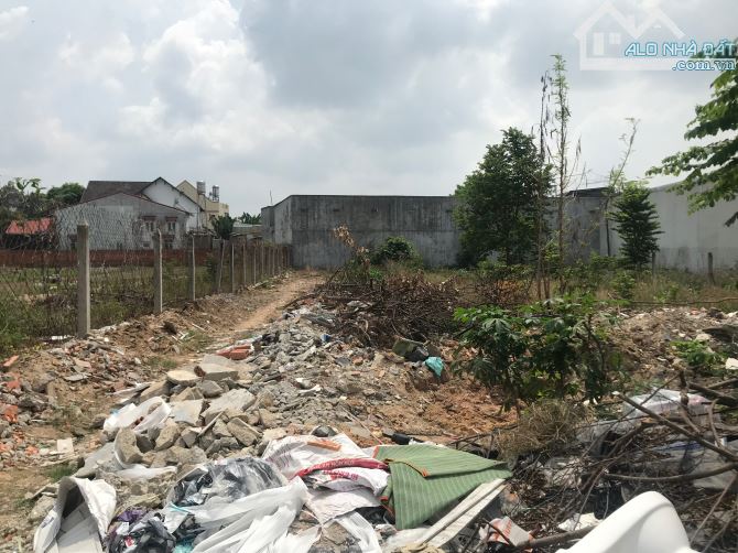 4220068 ảnh đại diện 1