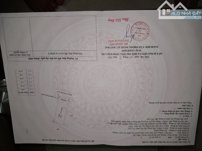 4219609 ảnh đại diện 2