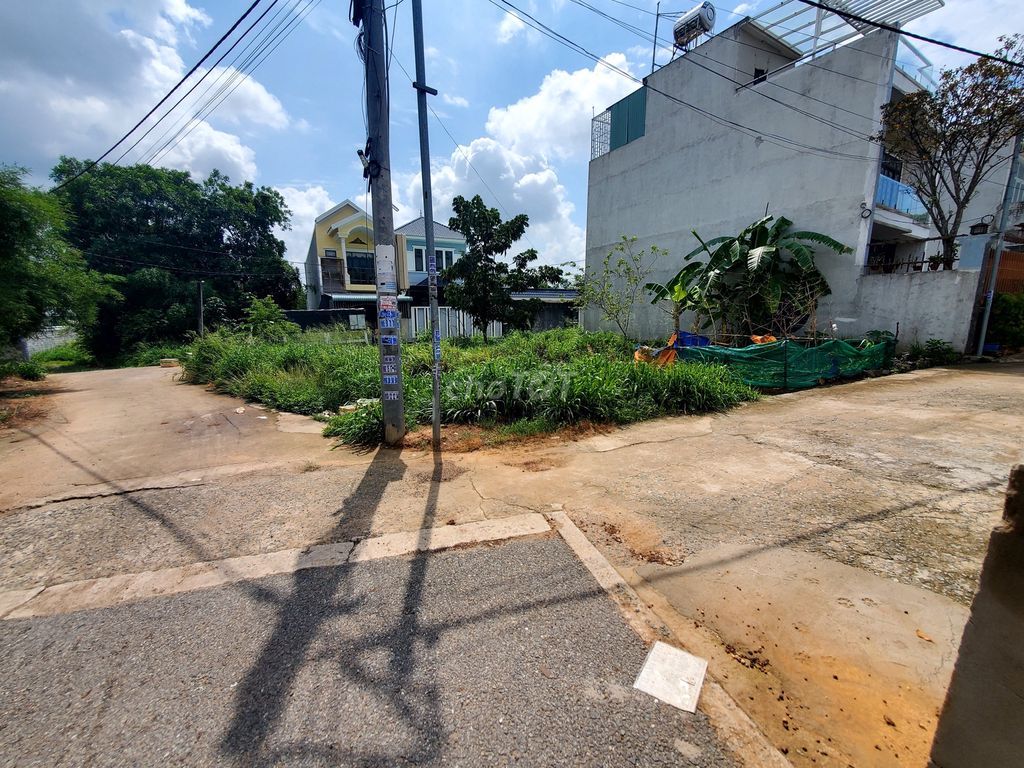 4220868 ảnh đại diện 1