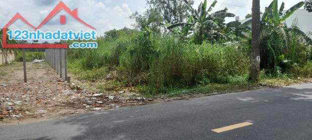 4219633 ảnh đại diện 1
