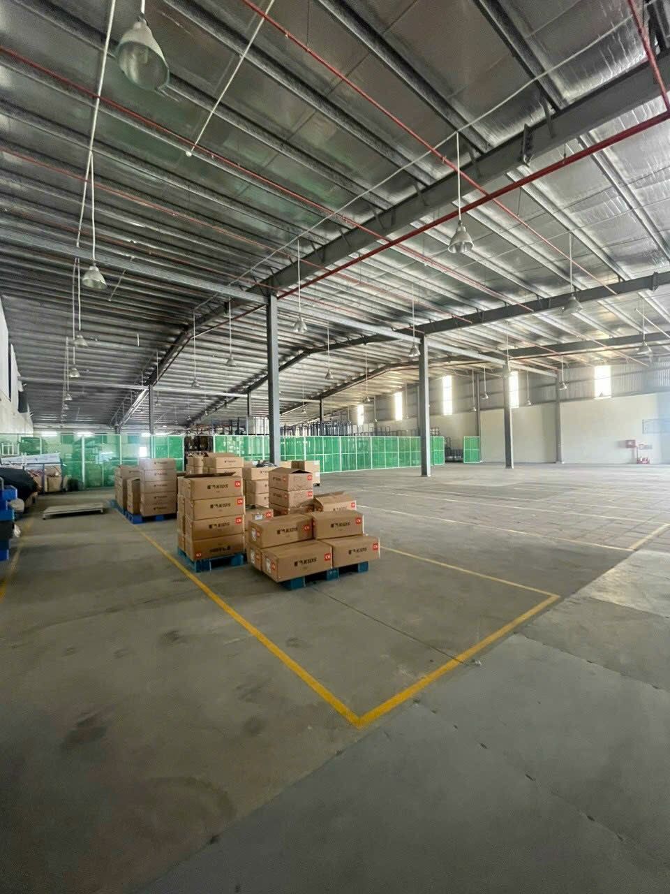 4220722 ảnh đại diện 1