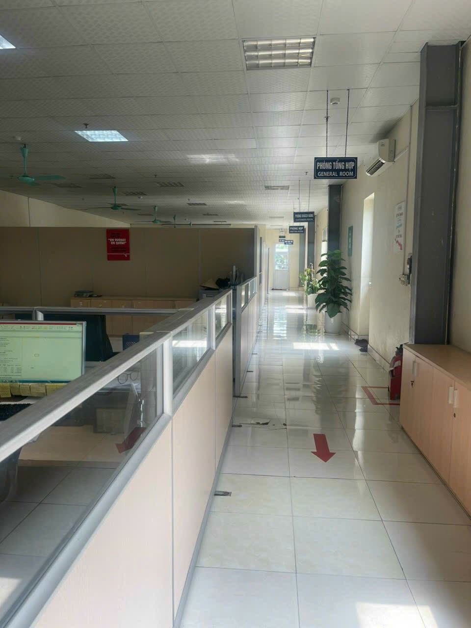 4220722 ảnh đại diện 2
