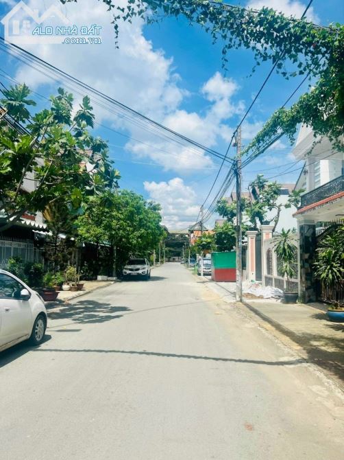 4220893 ảnh đại diện 2