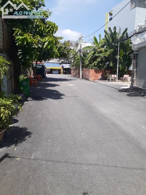 4220595 ảnh đại diện 1