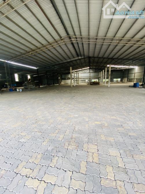 4220234 ảnh đại diện 1