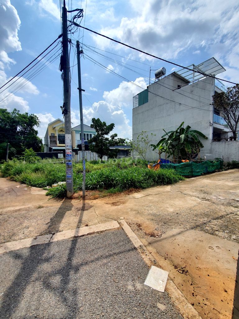 4220868 ảnh đại diện 1