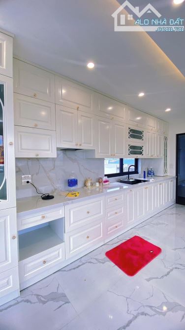 4220905 ảnh đại diện 2