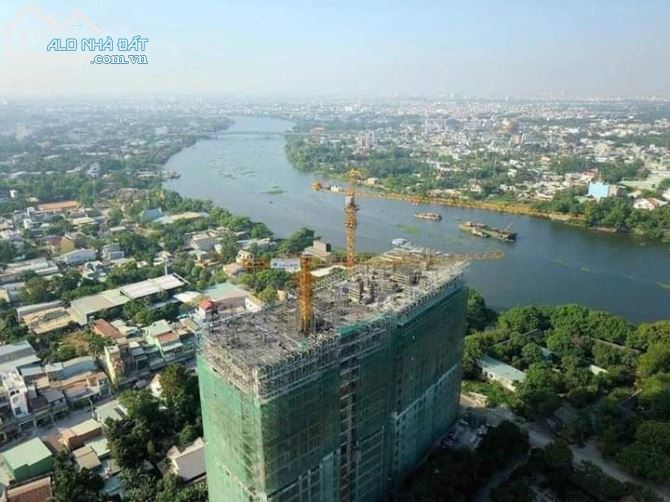 4220582 ảnh đại diện 2