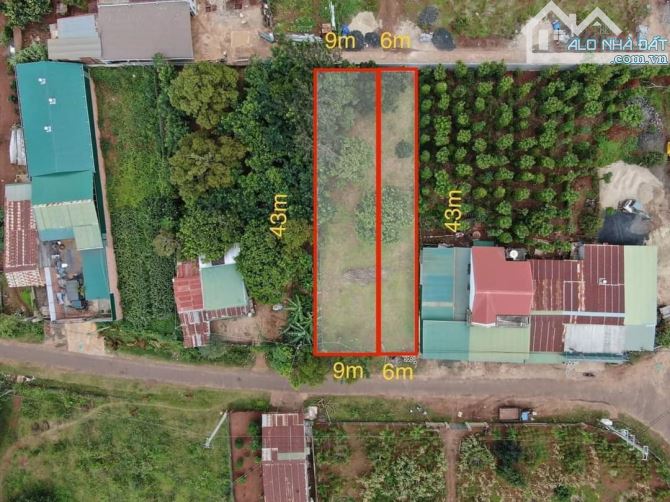 4219609 ảnh đại diện 1