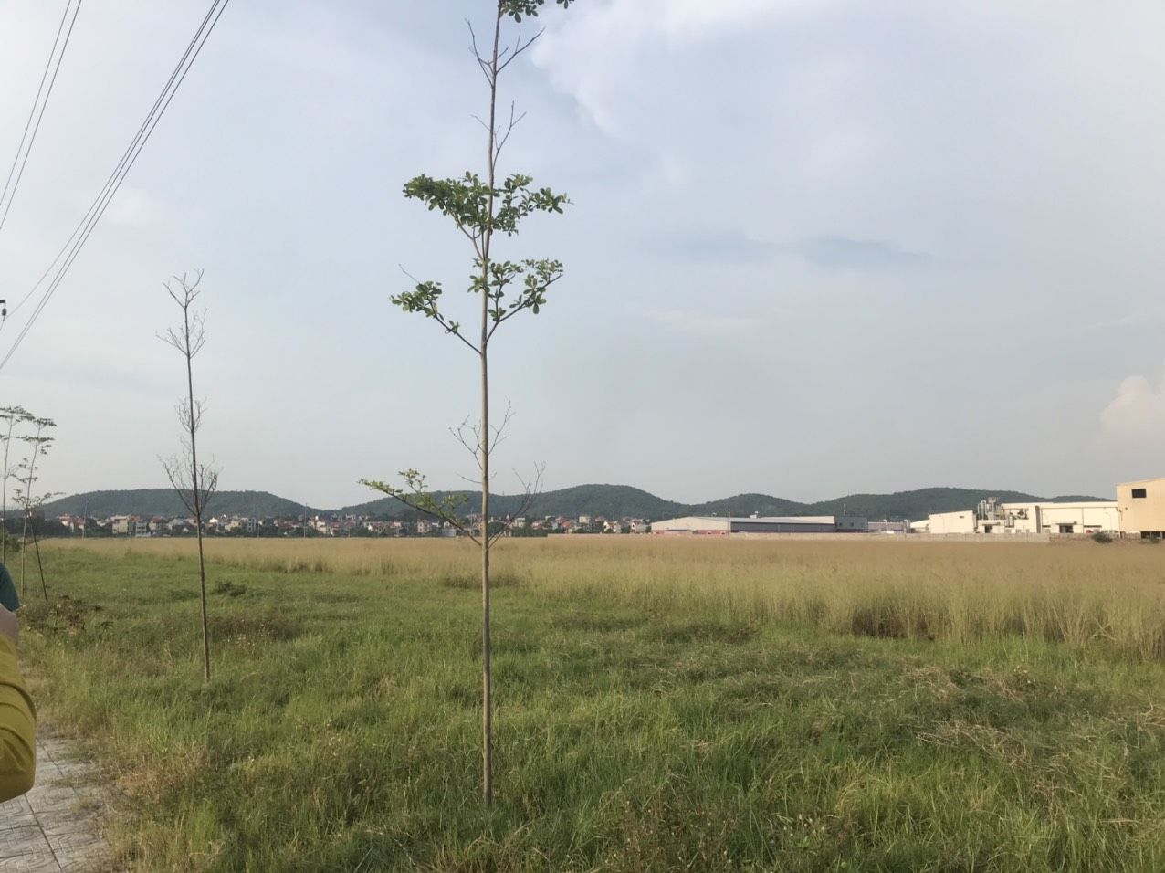 4222820 ảnh đại diện 1