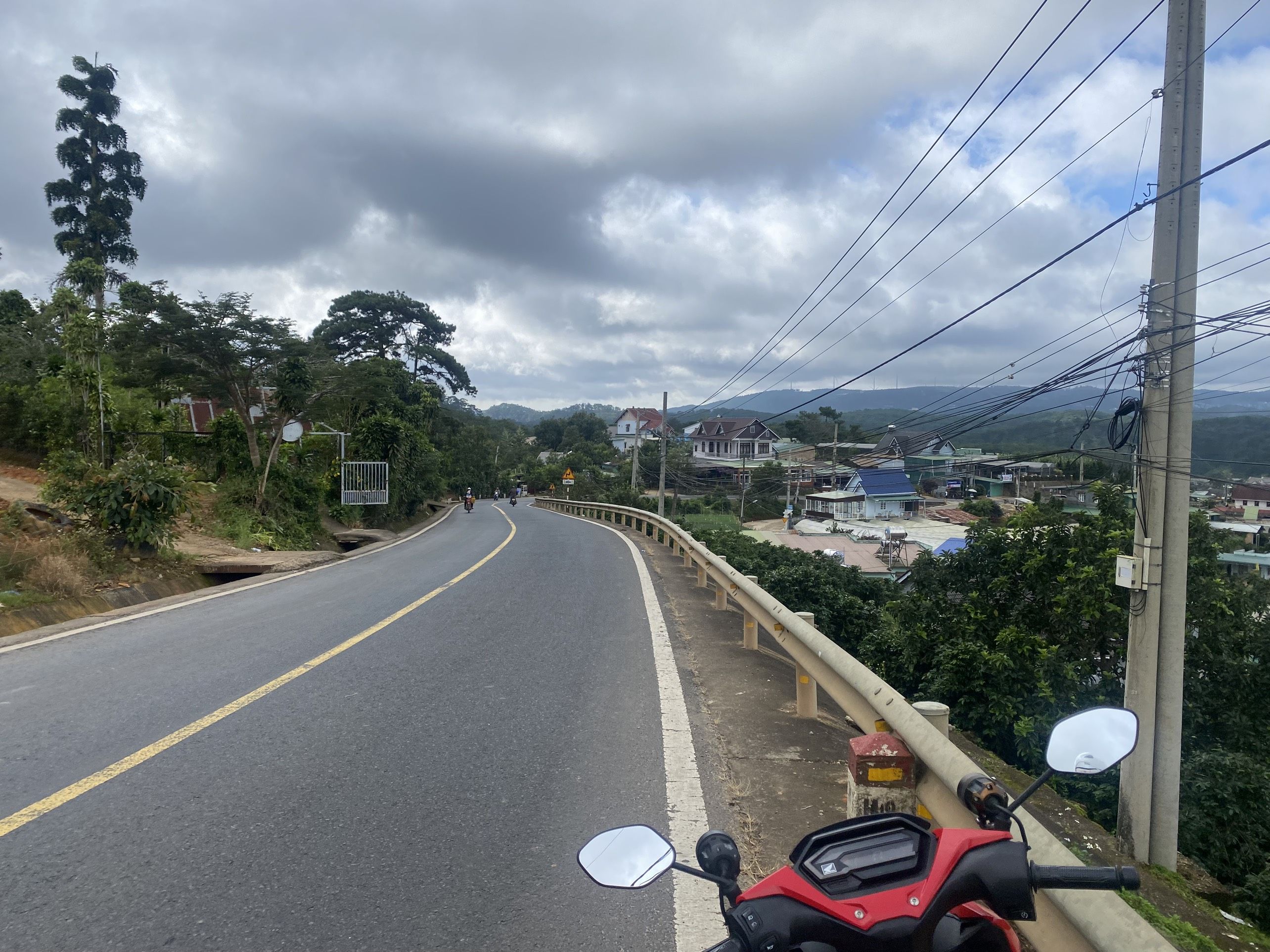 4223469 ảnh đại diện 1
