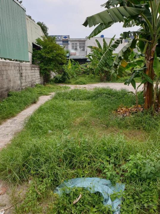 4223190 ảnh đại diện 1