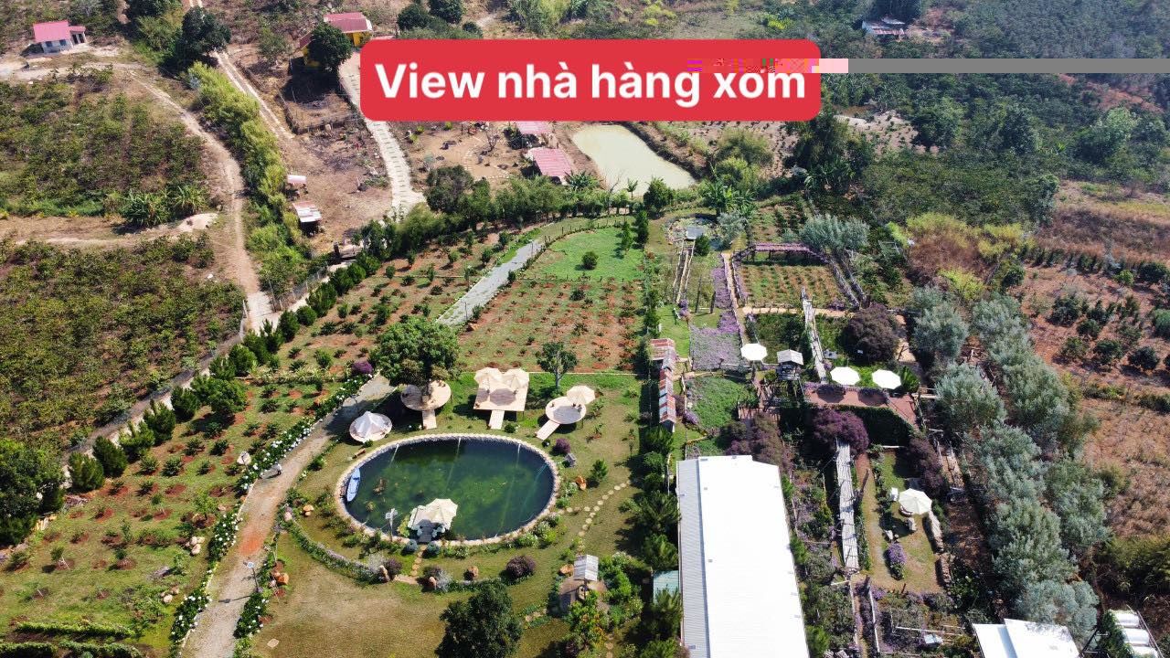 4223446 ảnh đại diện 1