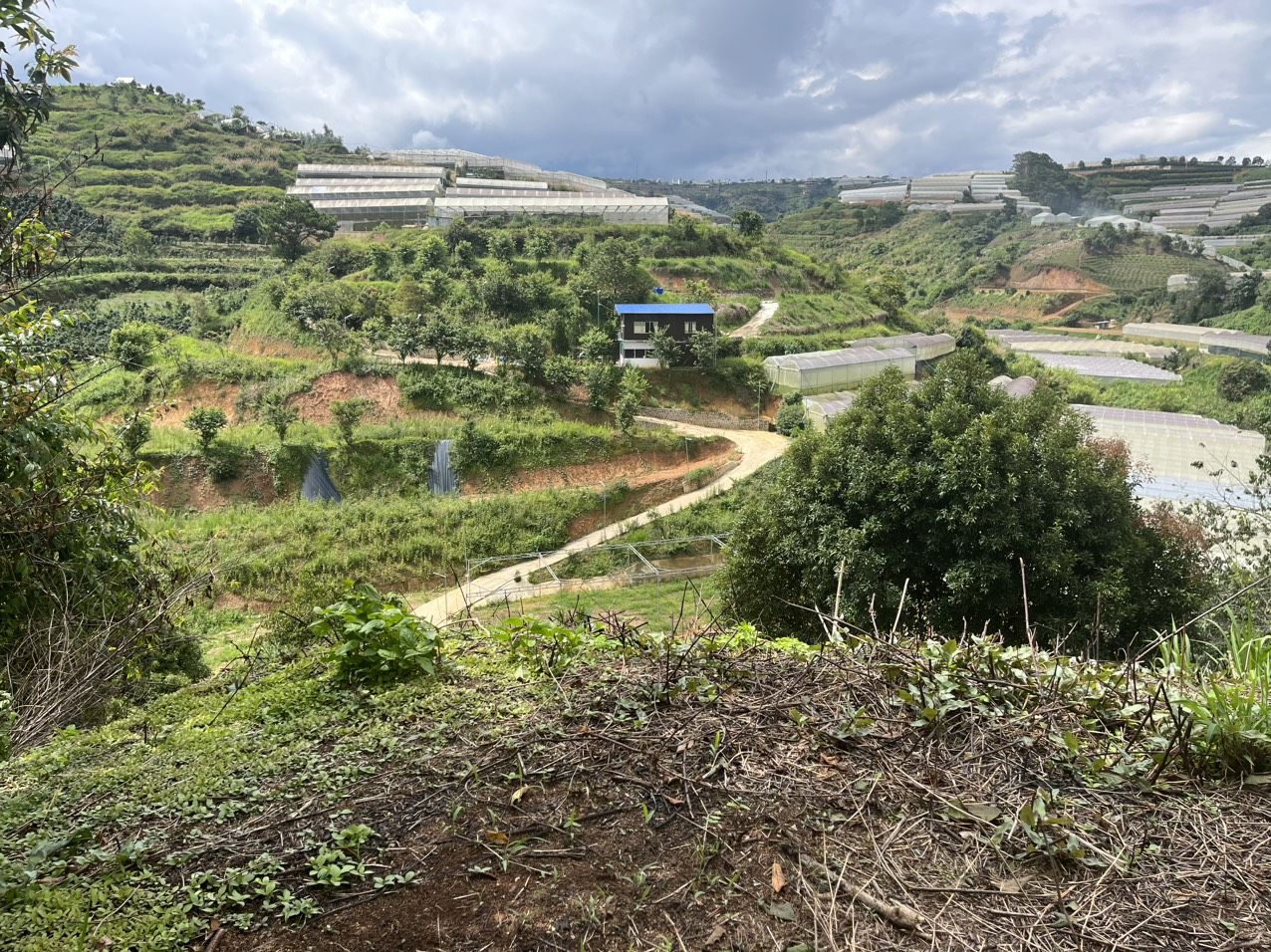 4223468 ảnh đại diện 2