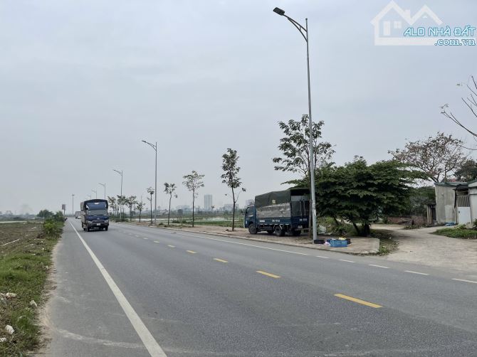 4222921 ảnh đại diện 1