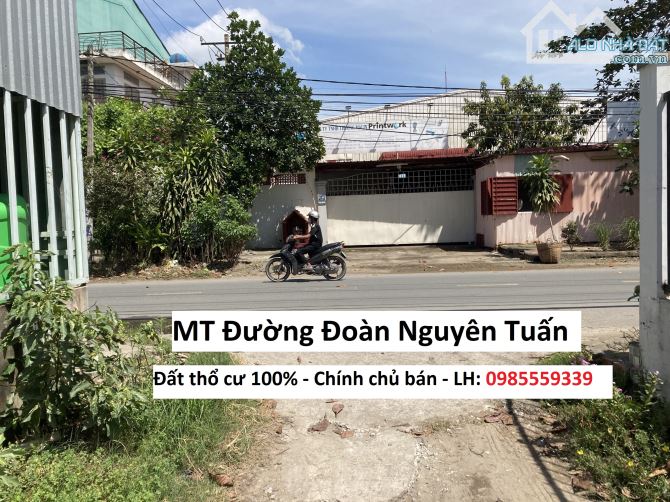 4223263 ảnh đại diện 2