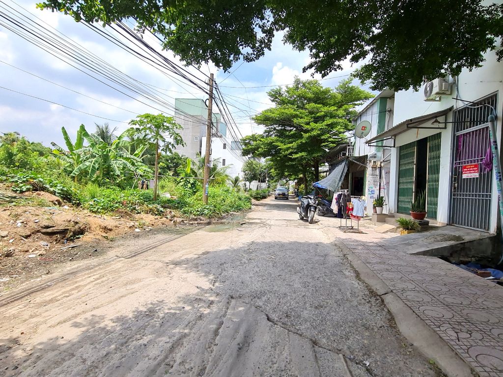 4223791 ảnh đại diện 1