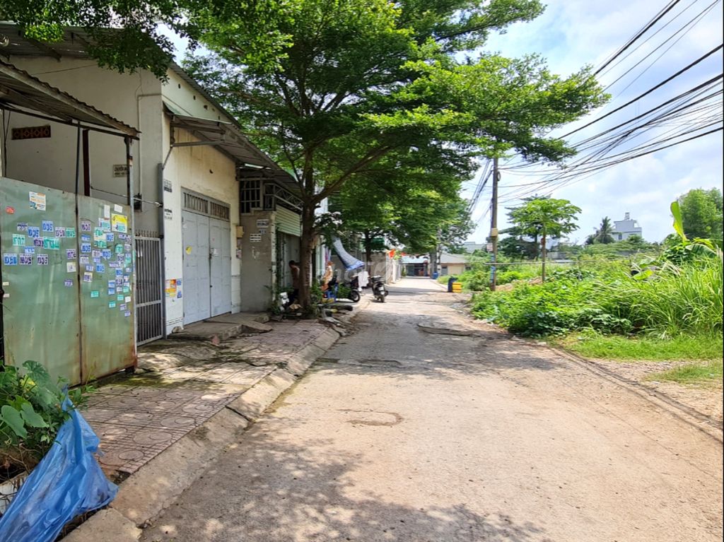 4223791 ảnh đại diện 1
