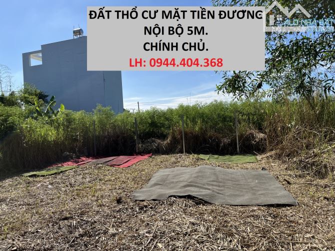 4223263 ảnh đại diện 1