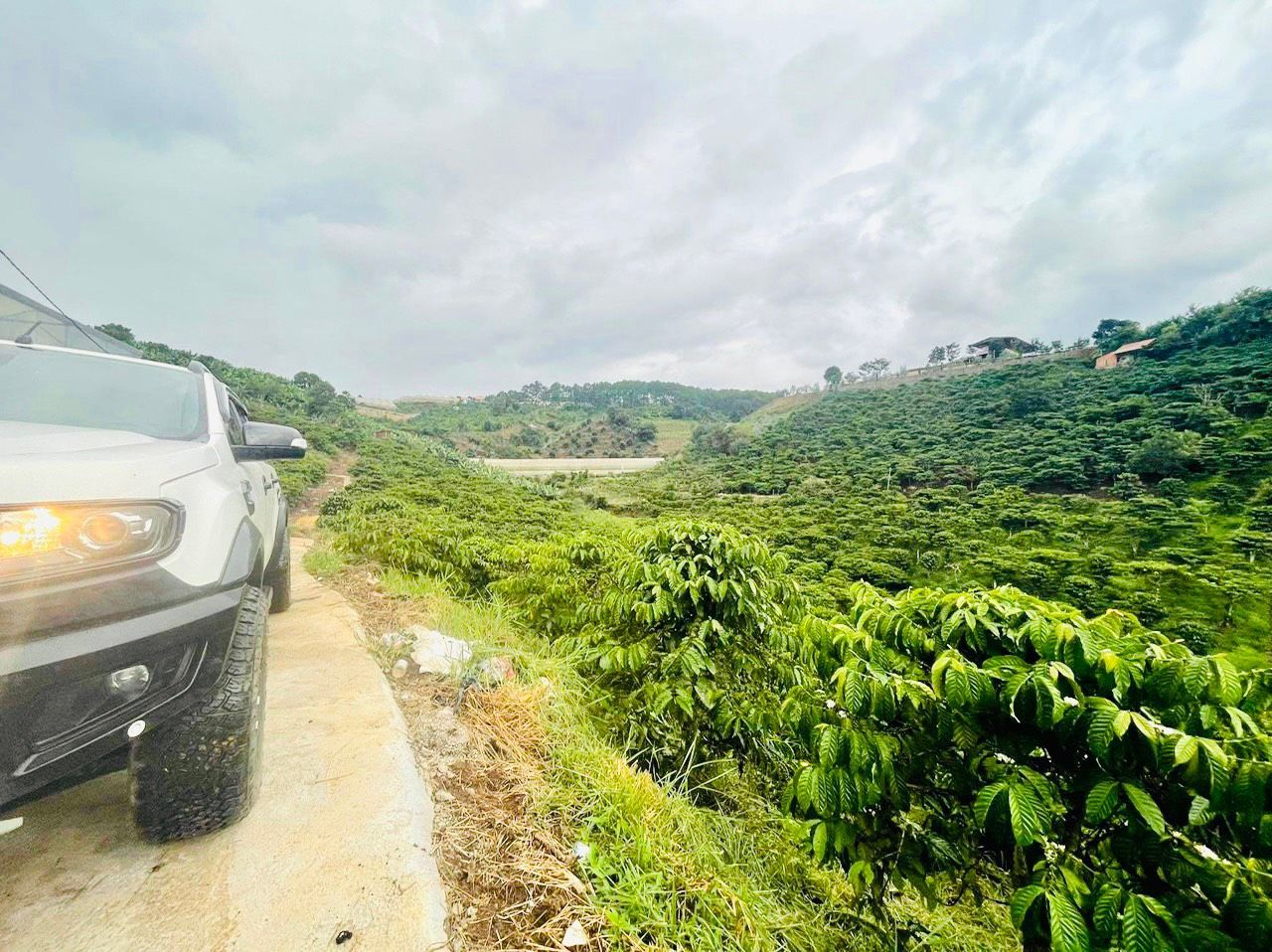 4223504 ảnh đại diện 1