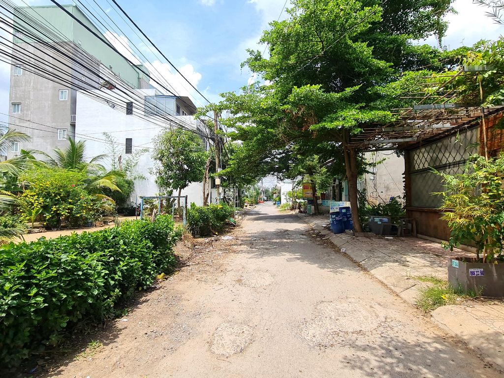 4223791 ảnh đại diện 2
