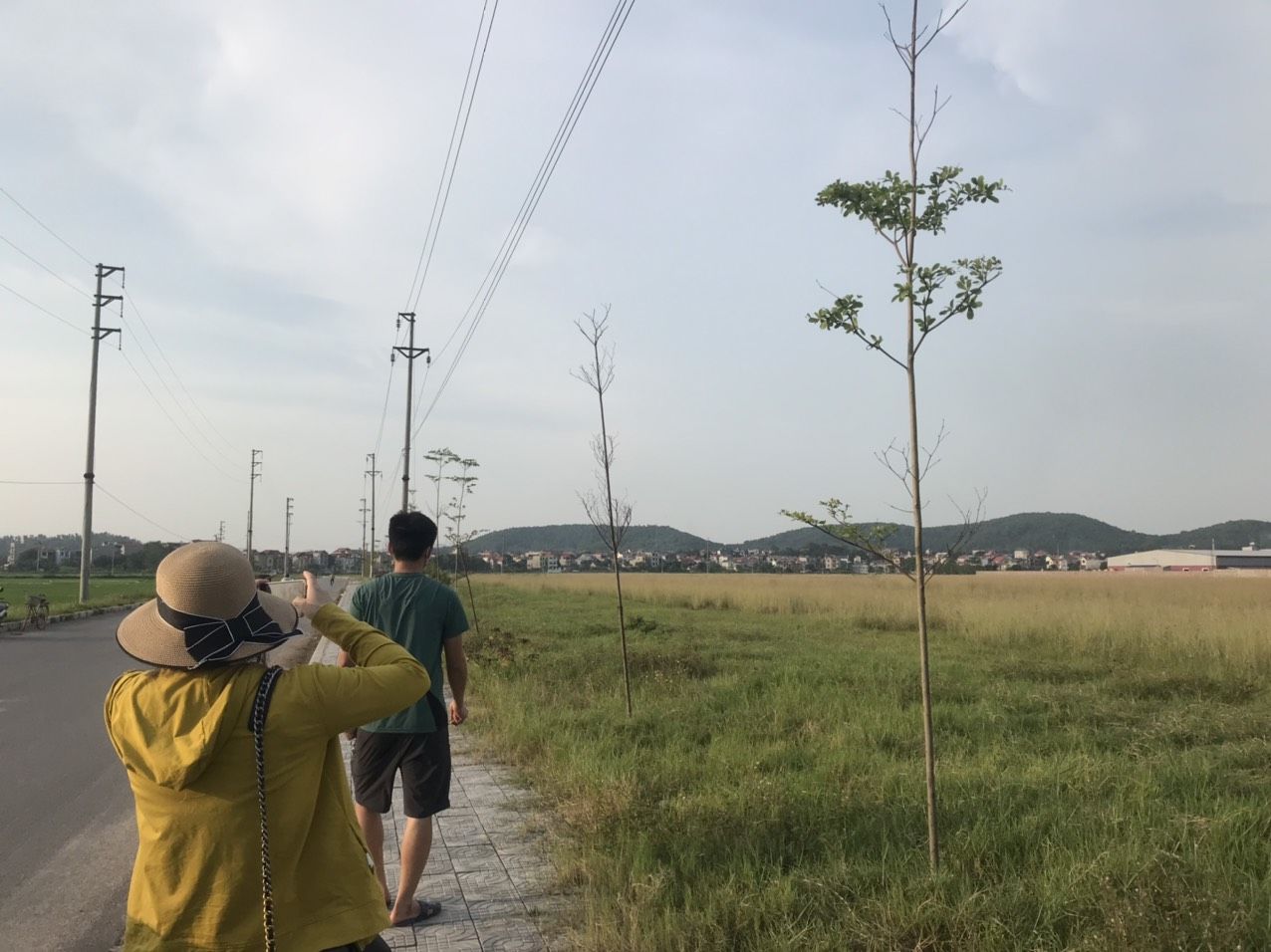 4222820 ảnh đại diện 2