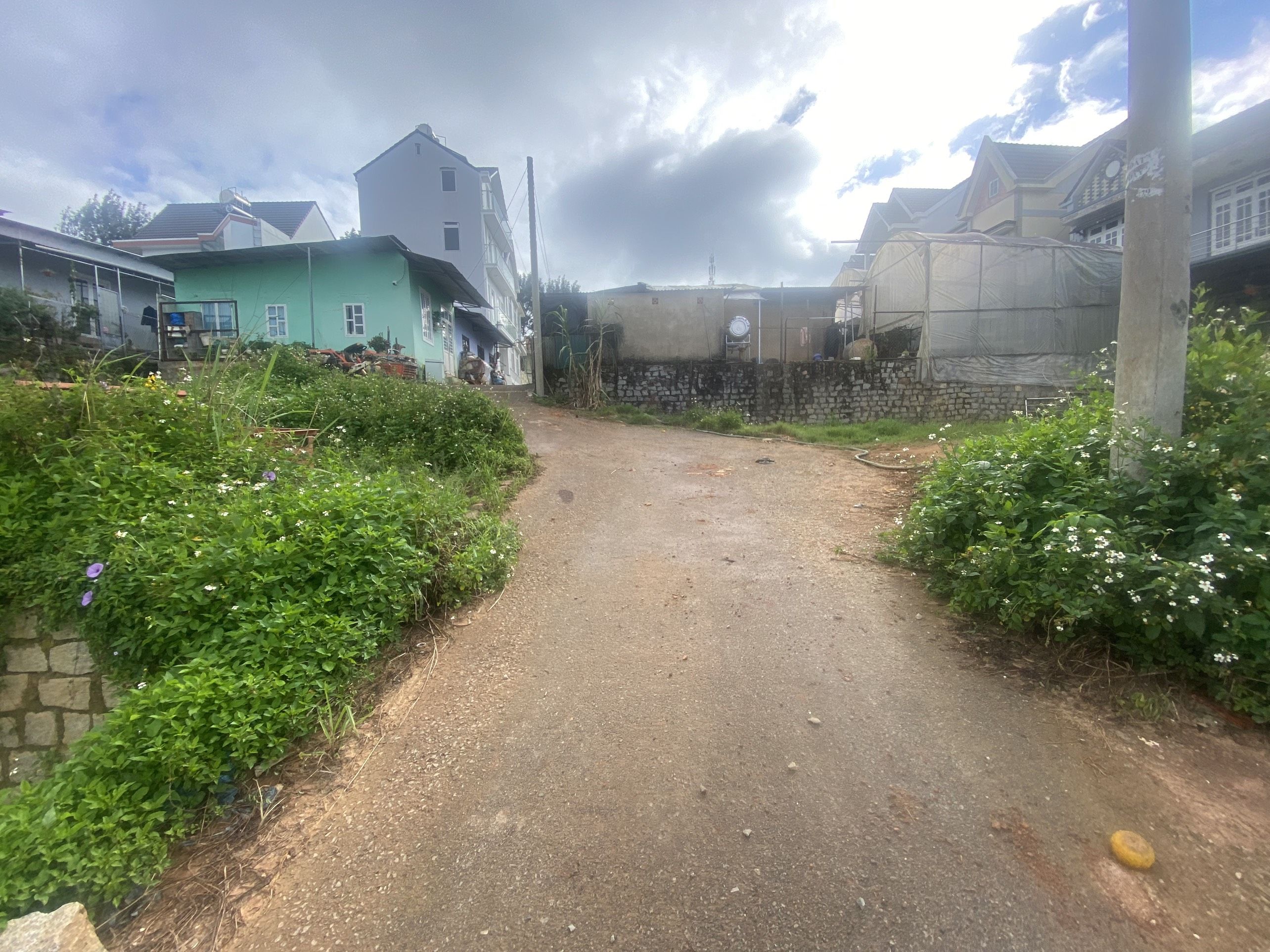 4222796 ảnh đại diện 2