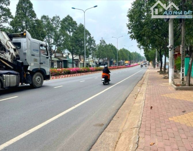 4223065 ảnh đại diện 2