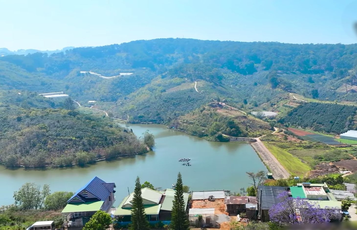 4223466 ảnh đại diện 2