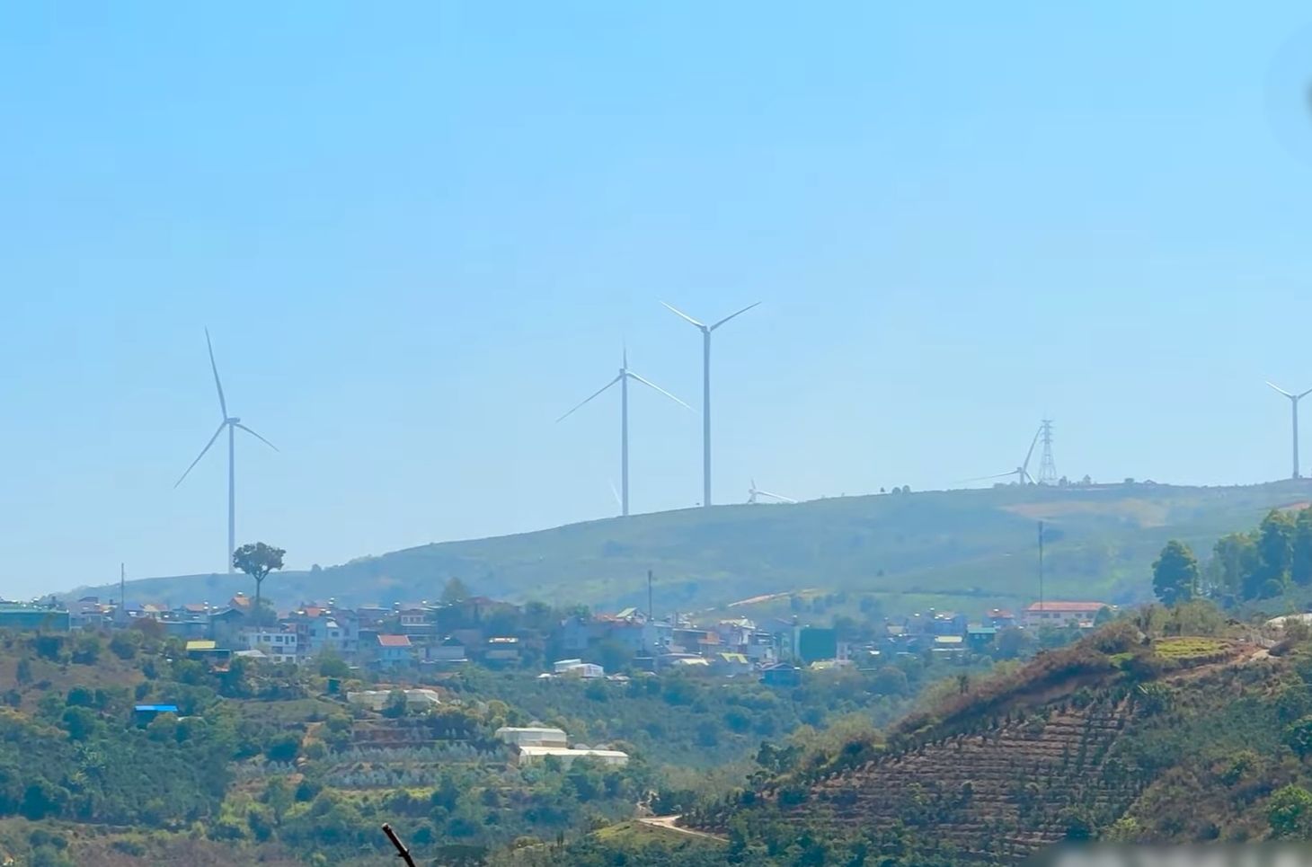 4223466 ảnh đại diện 1
