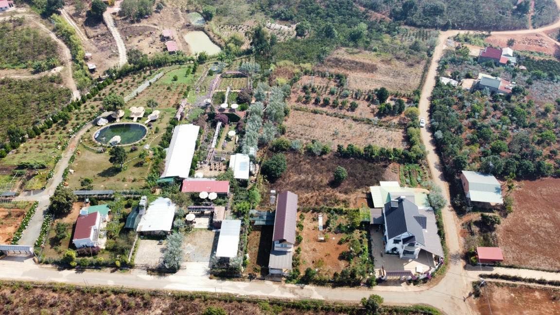 4223446 ảnh đại diện 2