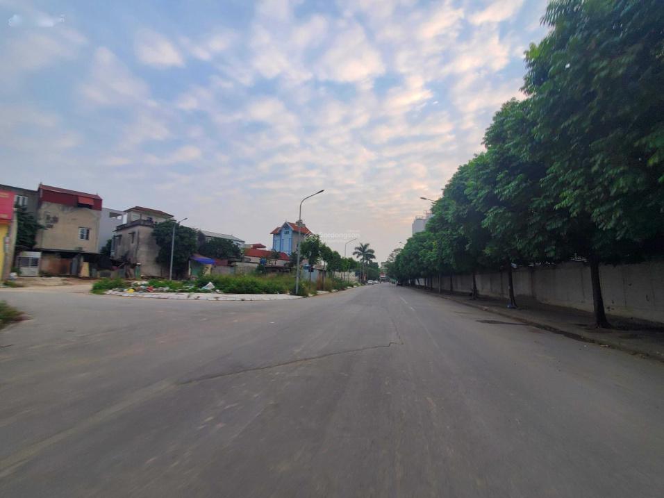 4224375 ảnh đại diện 1