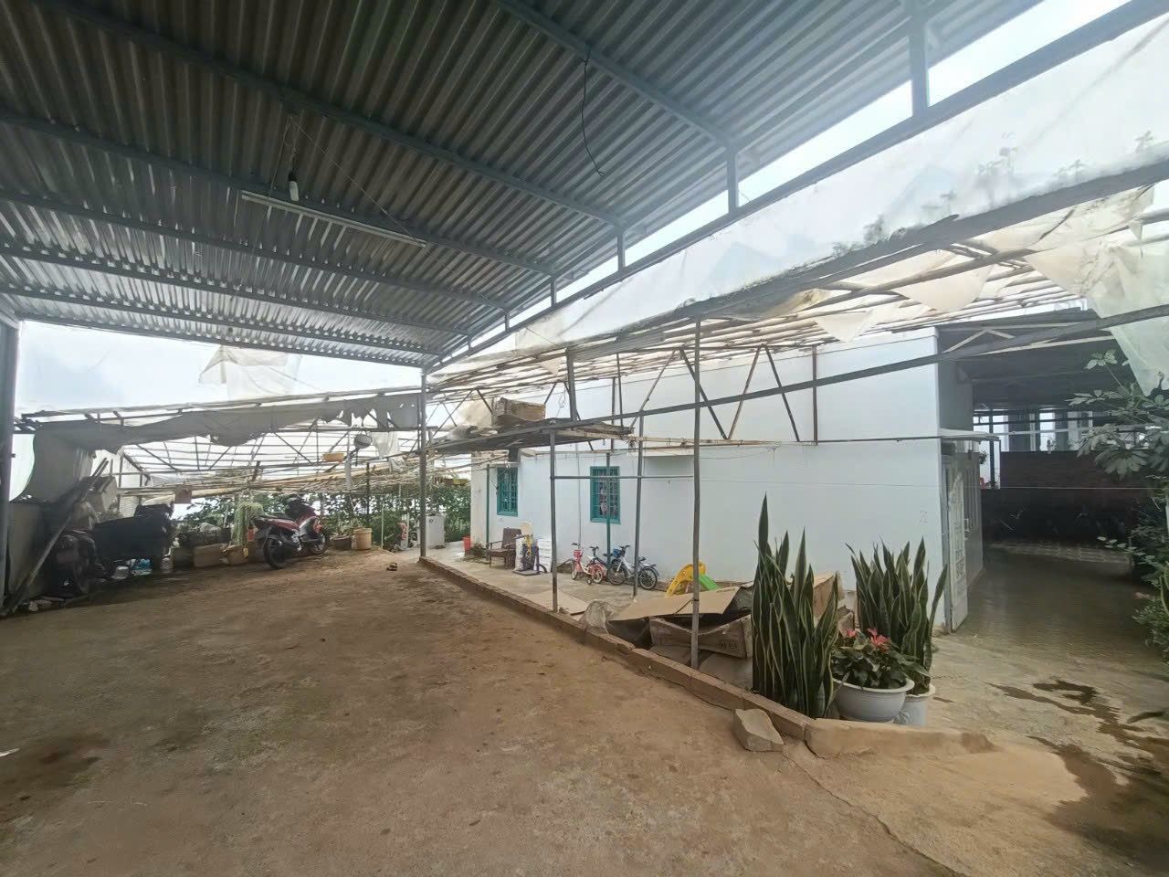 4223456 ảnh đại diện 1