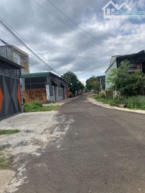 4223153 ảnh đại diện 1