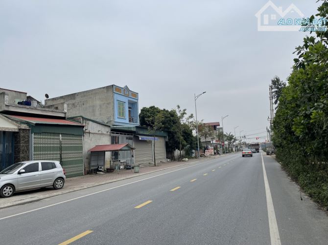 4222921 ảnh đại diện 1
