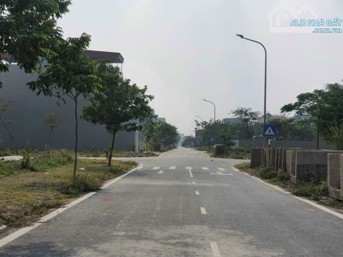 4222917 ảnh đại diện 1