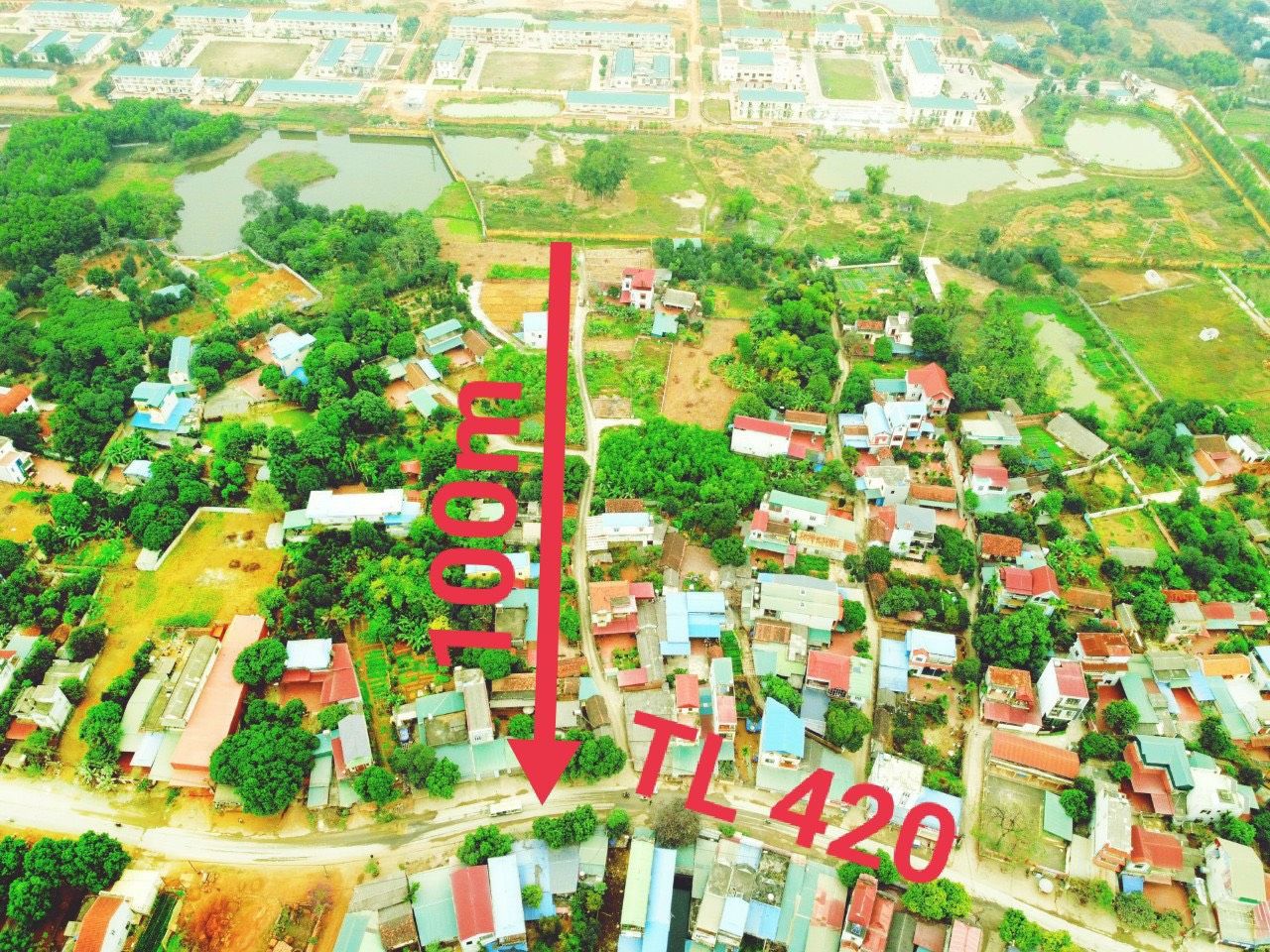 4225291 ảnh đại diện 1