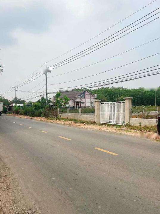 4224524 ảnh đại diện 1