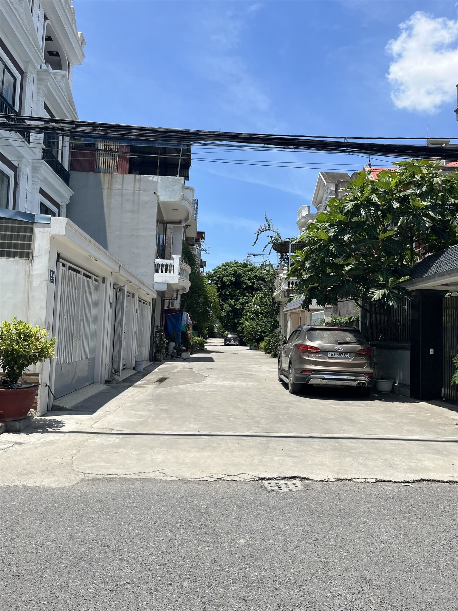 4226205 ảnh đại diện 1