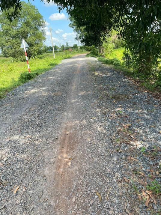 4224516 ảnh đại diện 2