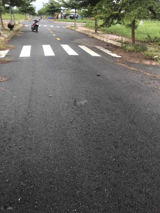 4224824 ảnh đại diện 1