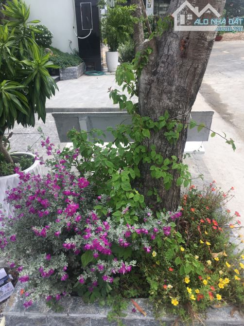 4227013 ảnh đại diện 2