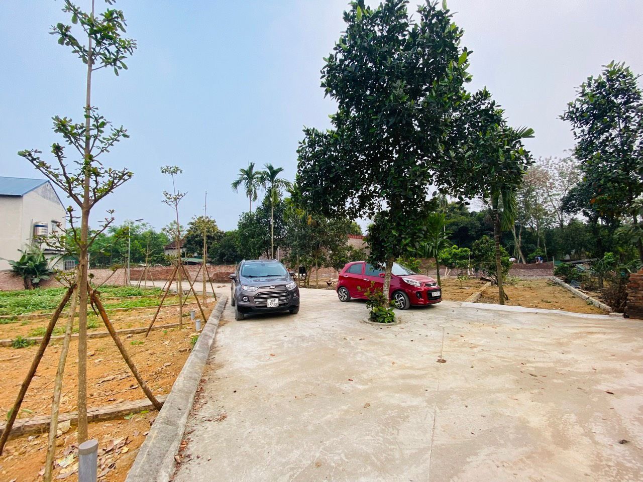 4225291 ảnh đại diện 1