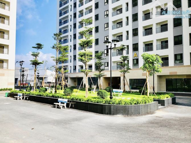 4226450 ảnh đại diện 1
